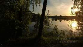 Покупка участок 8.0 соток , фотография 3