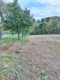 Продать участок 14.0 соток , фотография 2