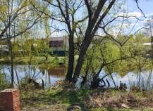 Купить участок 6.0 соток , фотография 8