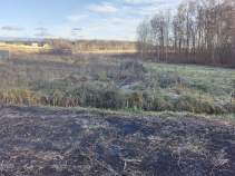 Купить участок 8.5 соток Московская область, Серпухов городской округ, Лисичкин рай кп, 223 Купить участок 8.5 соток , фотография 5