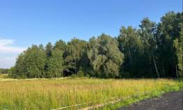 Купить участок 8.5 соток Московская область, Серпухов городской округ, Лисичкин рай кп, 223 Купить участок 8.5 соток , фотография 7