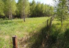 Покупка участок 12.0 соток , фотография 3