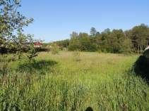 Цена на участок 25.0 соток , фотография 1