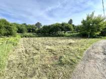 Покупка участок 6.0 соток , фотография 3