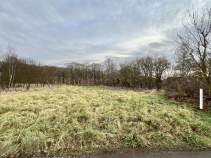 Купить участок 6.0 соток Московская область, Домодедово, Домодедово г. Северка ул. Покупка участок 6.0 соток , фотография 3