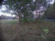 Куплю участок 6.0 соток , фотография 4