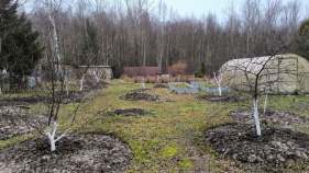 Продать участок 11.0 соток Московская область, Серпухов городской округ, Северный СНТ, 73 Продать участок 11.0 соток , фотография 2