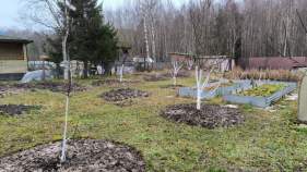 Купить участок 11.0 соток Московская область, Серпухов городской округ, Северный СНТ, 73 Покупка участок 11.0 соток , фотография 3