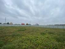 Продажа недвижимости Московская область, Чехов муниципальный округ, д. Алферово, ул. Сливовая Цена на участок 12.5 соток , фотография 1