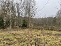 Купить участок 40.0 соток Московская область, Серпухов городской округ, Данки мест., Купить участок 40.0 соток , фотография 9