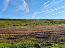 Продажа недвижимости Московская область, Домодедово, городской округ Домодедово, улица Первая линия Цена на участок 6.1 соток , фотография 1