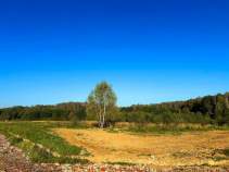 Продать участок 6.9 соток Московская область, Чехов, муниципальный округ Чехов, Филипповское, 96/2 Продать участок 6.9 соток , фотография 2