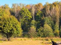 Купить участок 6.9 соток Московская область, Чехов, муниципальный округ Чехов, Филипповское, 96/2 Покупка участок 6.9 соток , фотография 3