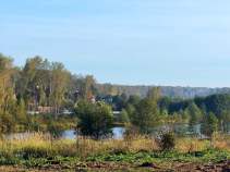 Продается участок 6.9 соток Московская область, Чехов, муниципальный округ Чехов, Филипповское, 96/2 Куплю участок 6.9 соток , фотография 4