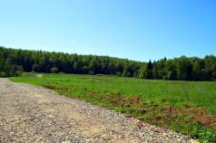 Купить участок 8.0 соток Московская область, Подольск, Московская область, городской округ Подольск, Пузиково Купить участок 8.0 соток , фотография 7