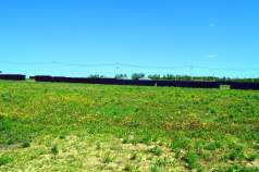 Купить участок 8.0 соток Московская область, Подольск, Московская область, городской округ Подольск, Пузиково Купить участок 8.0 соток , фотография 8