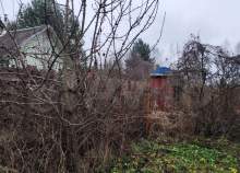 Купить участок 10.0 соток Московская область, Домодедово, Московская обл., г.о. Домодедово, СНТ Ветеран-5, Берёзовая ул. Купить участок 10.0 соток , фотография 5