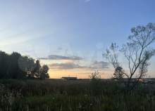 Фотография Участок 6 сот. (ИЖС), Московская обл., Серпухов Куплю участок 6.0 соток , фотография обложки