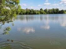 Купить участок 8.0 соток , фотография 5