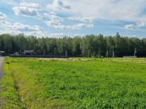 Купить участок 8.0 соток , фотография 8