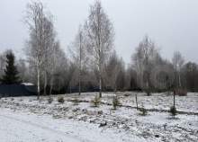 Куплю участок 10.0 соток , фотография обложки