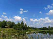 Куплю участок 6.0 соток , фотография обложки