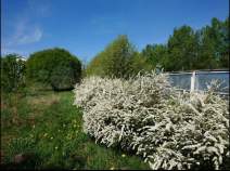 Цена на участок 12.0 соток , фотография 1