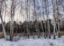 Куплю участок 10.5 соток , фотография обложки