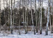 Куплю участок 10.5 соток , фотография 4