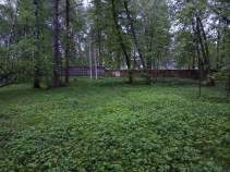 Покупка участок 16.0 соток , фотография 3