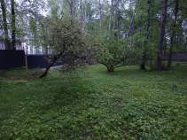 Купить участок 16.0 соток , фотография 5