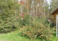 Куплю участок 6.0 соток , фотография обложки