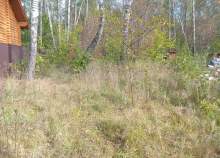 Цена на участок 6.0 соток , фотография 1