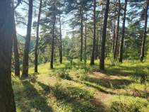 Фотография Дом в Московская область, Домодедово городской округ, с. Битягово 70А (120 м²), 70А Куплю дом на участке соток , фотография обложки