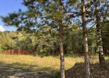 Купить участок 580.0 соток Московская область, Подольск, Московская обл., г.о. Подольск, д. Кутьино, Даниловская ул. Покупка участок 580.0 соток , фотография 3