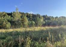 Продается участок 580.0 соток Московская область, Подольск, Московская обл., г.о. Подольск, д. Кутьино, Даниловская ул. Куплю участок 580.0 соток , фотография 4