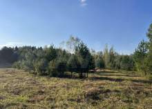 Купить участок 580.0 соток Московская область, Подольск, Московская обл., г.о. Подольск, д. Кутьино, Даниловская ул. Купить участок 580.0 соток , фотография 6