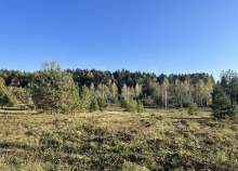 Купить участок 580.0 соток Московская область, Подольск, Московская обл., г.о. Подольск, д. Кутьино, Даниловская ул. Купить участок 580.0 соток , фотография 7