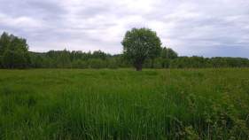 Куплю участок 120.0 соток , фотография 4