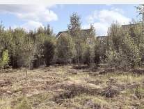 Продать участок 6.7 соток Московская область, Подольск, Московская обл., г.о. Подольск, д. Булатово, ул. 70 лет Победы Продать участок 6.7 соток , фотография 2