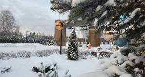 Покупка участок 8.0 соток , фотография 3