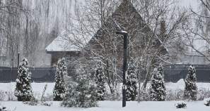 Купить участок 8.0 соток , фотография 5