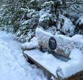 Куплю дом на участке  соток , фотография 4