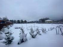 Куплю участок 19.5 соток , фотография обложки