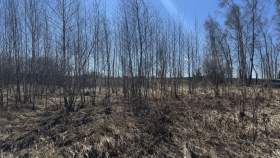 Куплю участок 12.0 соток , фотография обложки