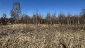 Цена на участок 12.0 соток , фотография 1