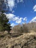 Купить участок 9.1 соток , фотография 7