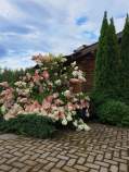 Покупка дом на участке  соток , фотография 3