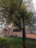 Покупка 1-комнатную квартиру , фотография 3