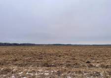 Купить участок 10.0 соток , фотография 8